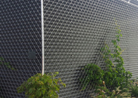 Outdoor Custom Decortaive 3.0mm Stainless Steel Rope Mesh Green Wall Cable Network Plant Climbing