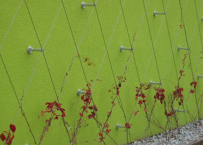 1.5mm Ferrule Rope Mesh Green Plant Climbing Trellis Wall 100*100mm For Garden