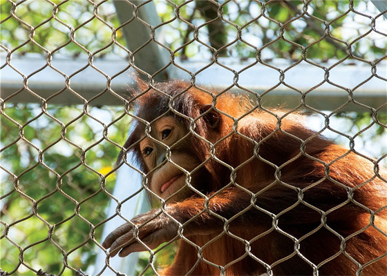 Knotted Or Ferrule Type Stainless Steel Aviary Mesh Diamond For Animal Enclosure